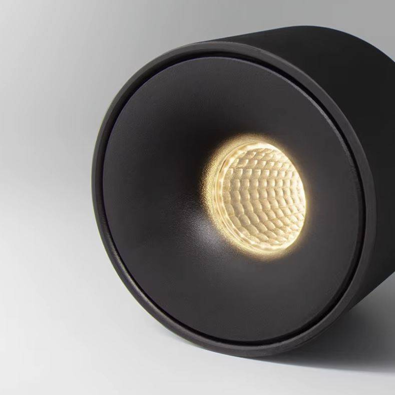Surface mounted Luxury LED Ceiling Downlights LED Ceiling Downlights
