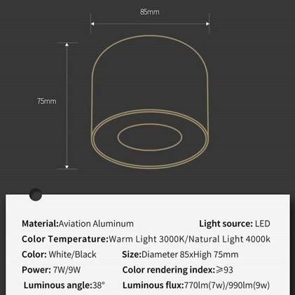 Surface mounted Luxury LED Ceiling Downlights LED Ceiling Downlights