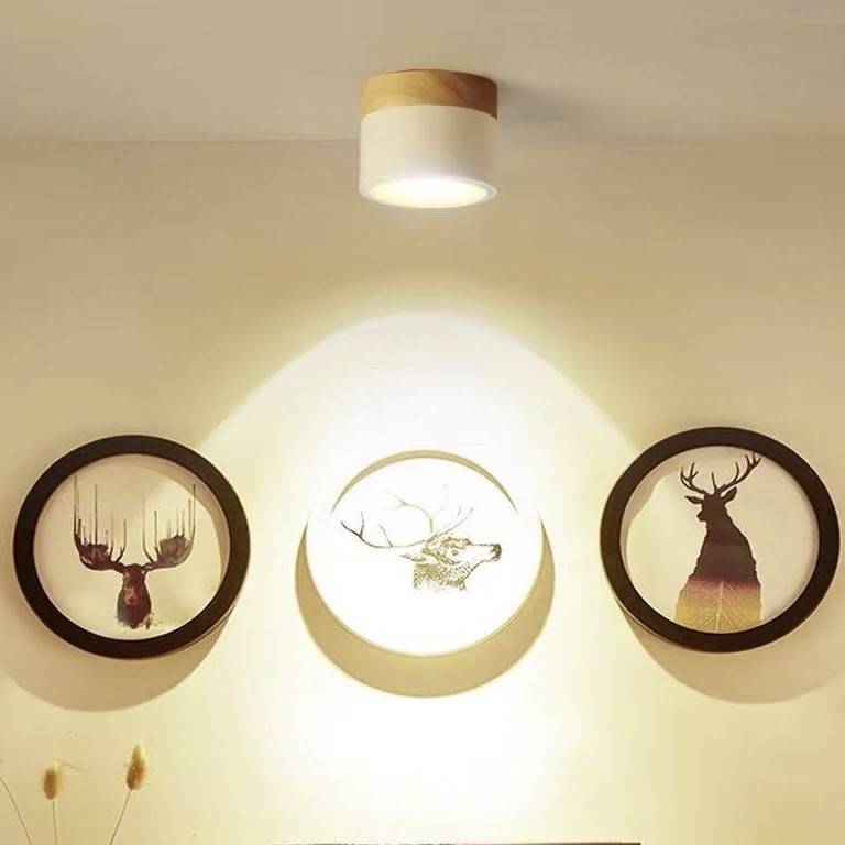 Dimmable Surface Mounted Wood-Pattern Downlight LED Ceiling Downlights Dimmable Surface Mounted Wood-Pattern Downlight LED Ceiling Downlights
