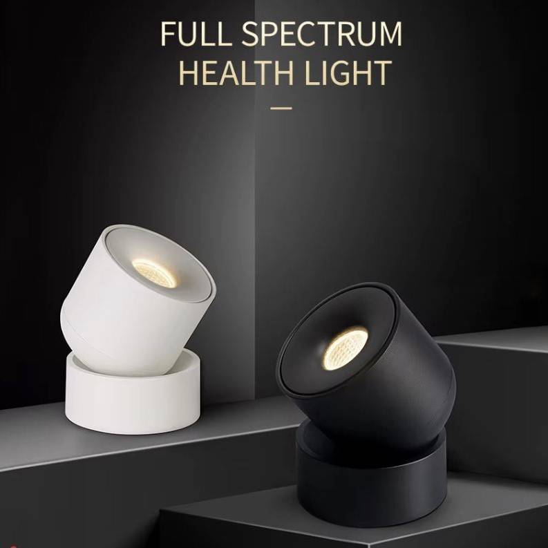 Urban Surface-Mounted LED Ceiling Spotlight LED Ceiling Downlights