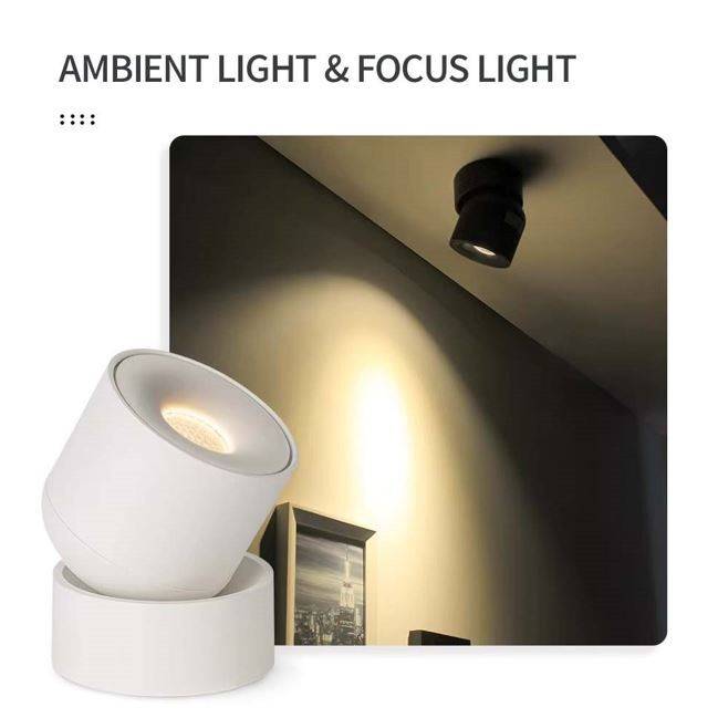 Urban Surface-Mounted LED Ceiling Spotlight LED Ceiling Downlights