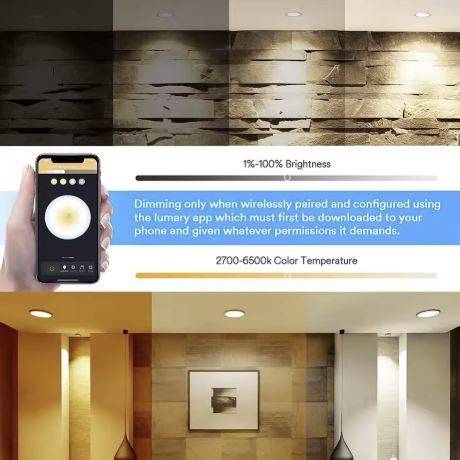 APP Control Smart RGB Recessed Downlights LED Ceiling Downlights