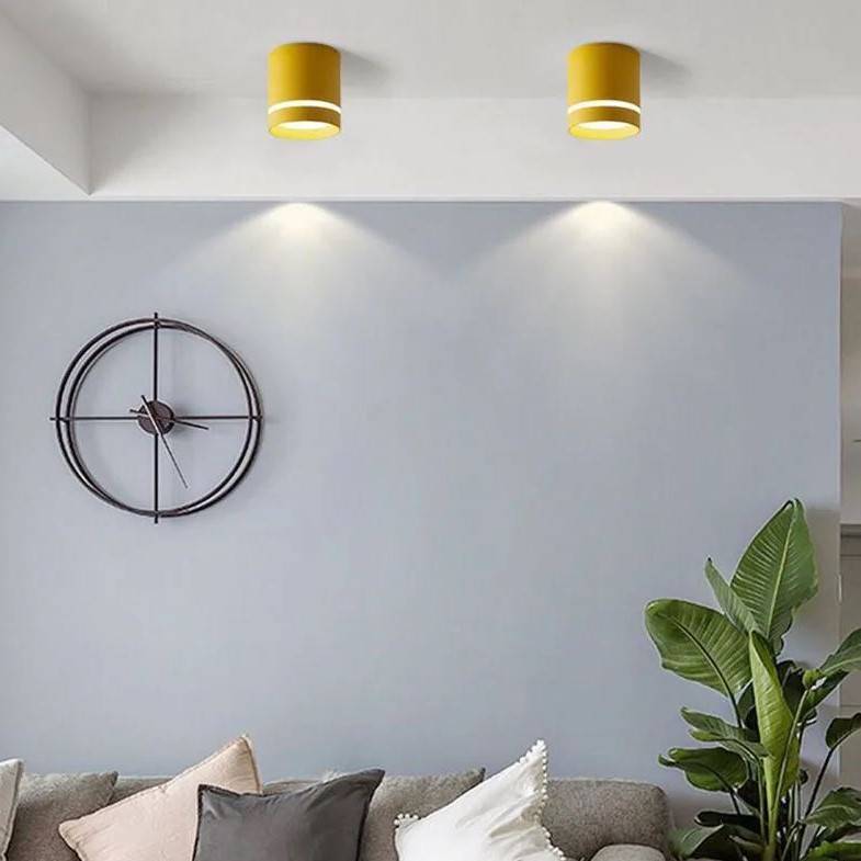 Surface-Mounted Colorful Cylindrical Downlights LED Ceiling Downlights Surface-Mounted Colorful Cylindrical Downlights LED Ceiling Downlights