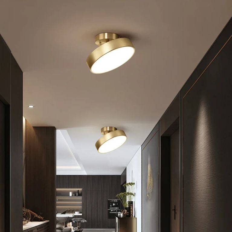 Angle Adjustable Flat Circle LED Downlight LED Ceiling Downlights