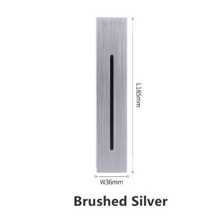 Bushed Silver