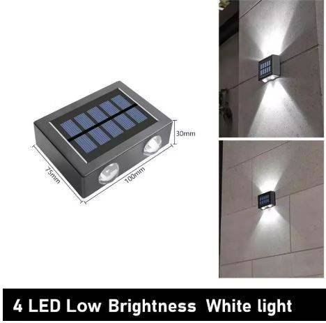 4LED Low White Light